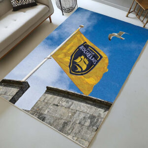 Alternative view of Tapis Stade Rochelais Rugby Club 13